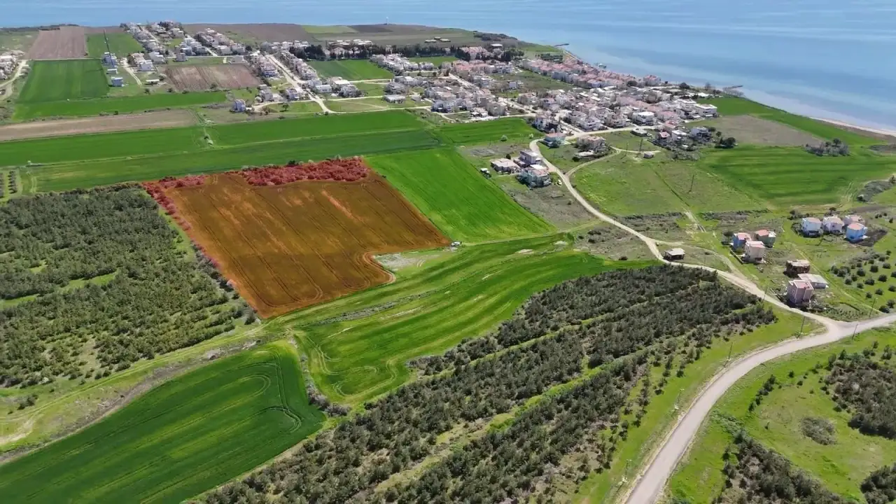 Arsaya Konut Yapmak İçin Hangi Alana İzin Verilir?